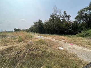 For sale land in Phra Samut Chedi, Samut Prakan