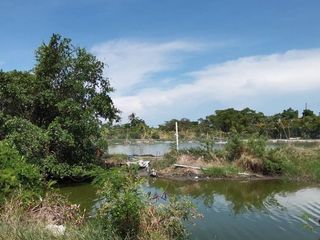 For sale land in Bang Khun Thian, Bangkok