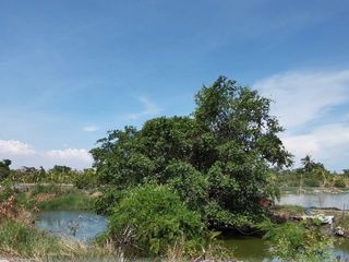 For sale land in Bang Khun Thian, Bangkok