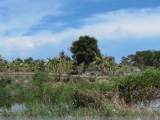 For sale land in Bang Khun Thian, Bangkok