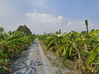For sale land in Bang Phli, Samut Prakan
