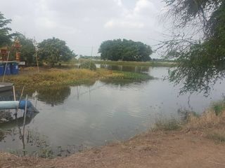 For sale land in Bang Phli, Samut Prakan