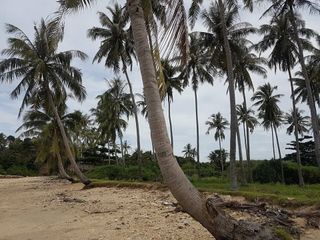 For sale land in Ko Lanta, Krabi