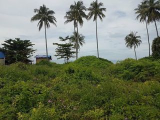 For sale land in Ko Lanta, Krabi