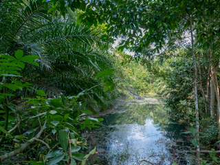For sale land in Mueang Krabi, Krabi
