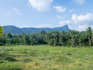 For sale land in Mueang Krabi, Krabi