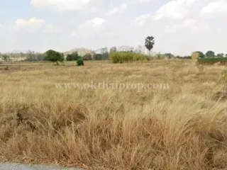 For sale land in Bueng Sam Phan, Phetchabun