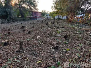 For sale land in Mueang Udon Thani, Udon Thani