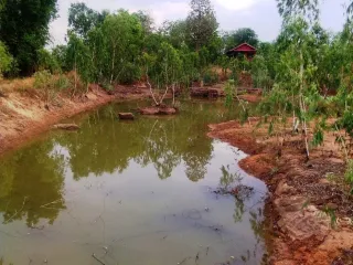 For sale land in Mueang Chaiyaphum, Chaiyaphum