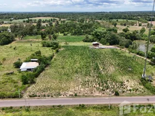 For sale land in Pak Thong Chai, Nakhon Ratchasima