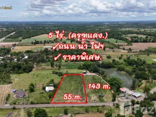 For sale land in Pak Thong Chai, Nakhon Ratchasima