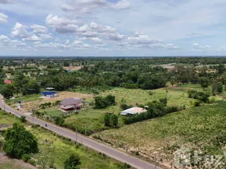 For sale land in Pak Thong Chai, Nakhon Ratchasima
