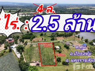 For sale land in Pak Thong Chai, Nakhon Ratchasima