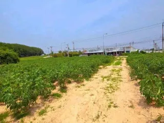 For sale land in Pluak Daeng, Rayong