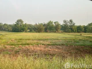 For sale land in Tha Bo, Nong Khai