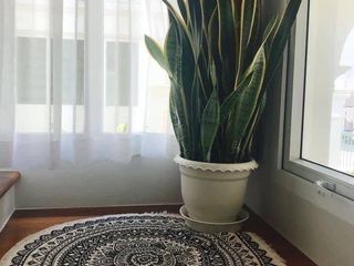For rent 4 Beds house in Mueang Phuket, Phuket