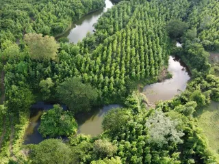 For sale land in Lom Kao, Phetchabun