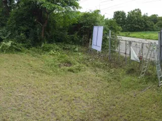 For sale land in Lom Kao, Phetchabun