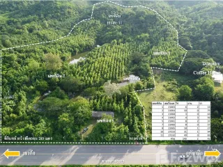 For sale land in Lom Kao, Phetchabun