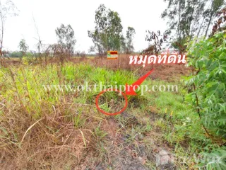 For sale land in Bang Sai, Phra Nakhon Si Ayutthaya