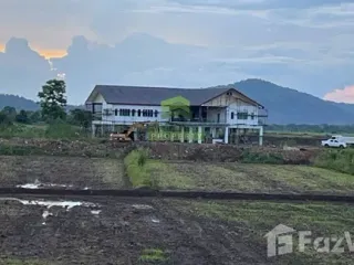 For sale land in Nong Phai, Phetchabun