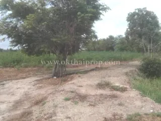 For sale land in Hankha, Chainat