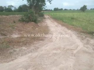 For sale land in Hankha, Chainat