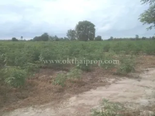For sale land in Hankha, Chainat