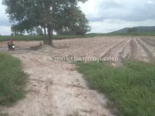 For sale land in Hankha, Chainat