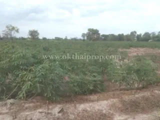 For sale land in Hankha, Chainat