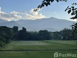 ขาย ที่ดิน ใน แม่ริม, เชียงใหม่