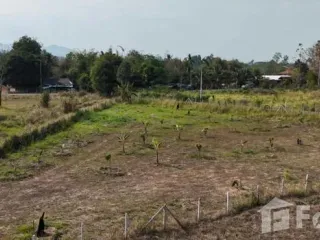 ขาย ที่ดิน ใน แม่ริม, เชียงใหม่