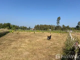 ขาย ที่ดิน ใน แม่ริม, เชียงใหม่