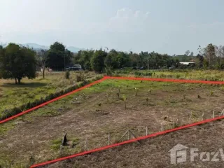 ขาย ที่ดิน ใน แม่ริม, เชียงใหม่