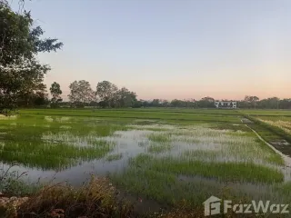 ขาย ที่ดิน ใน แม่ริม, เชียงใหม่