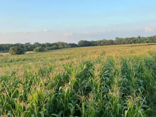 For sale land in Pak Chong, Nakhon Ratchasima