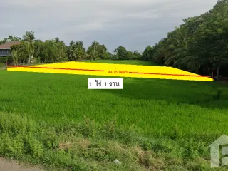 For sale land in Ongkharak, Nakhon Nayok