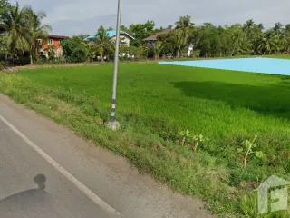 For sale land in Ongkharak, Nakhon Nayok