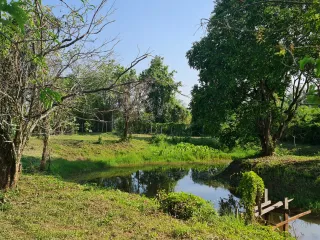 ขาย ที่ดิน ใน เมืองเชียงราย, เชียงราย