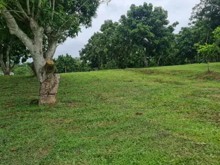 ขาย ที่ดิน ใน เมืองเชียงราย, เชียงราย