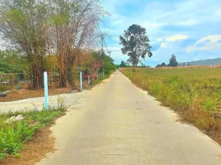 For sale land in Nikhom Phatthana, Rayong
