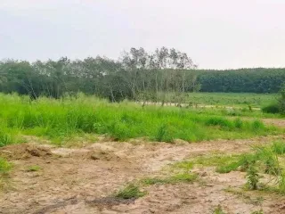 For sale land in Nikhom Phatthana, Rayong