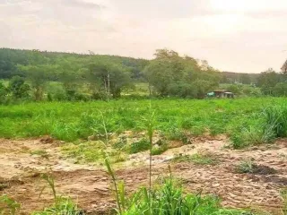 For sale land in Nikhom Phatthana, Rayong