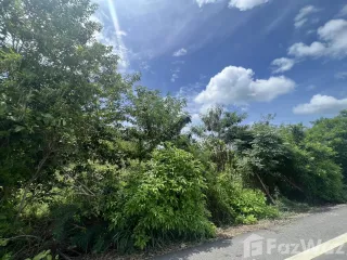 For sale land in Sam Roi Yot, Prachuap Khiri Khan