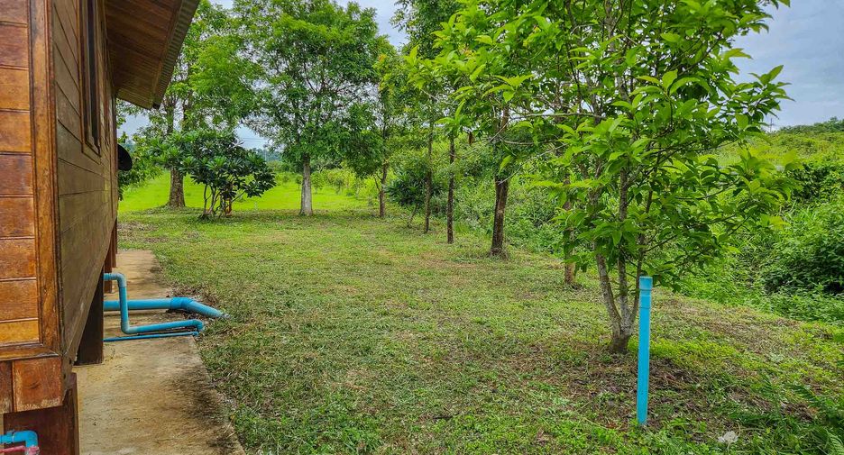 For sale 2 bedrooms land in Laplae, Uttaradit