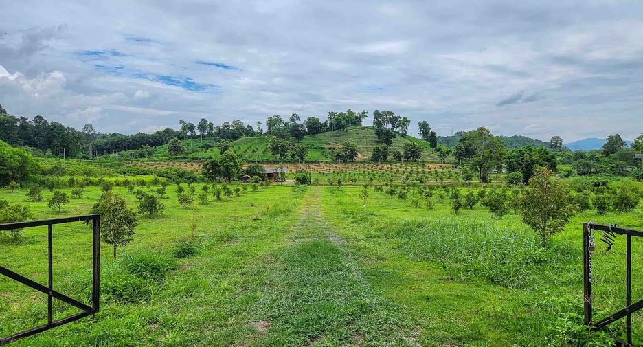 For sale 2 bedrooms land in Laplae, Uttaradit