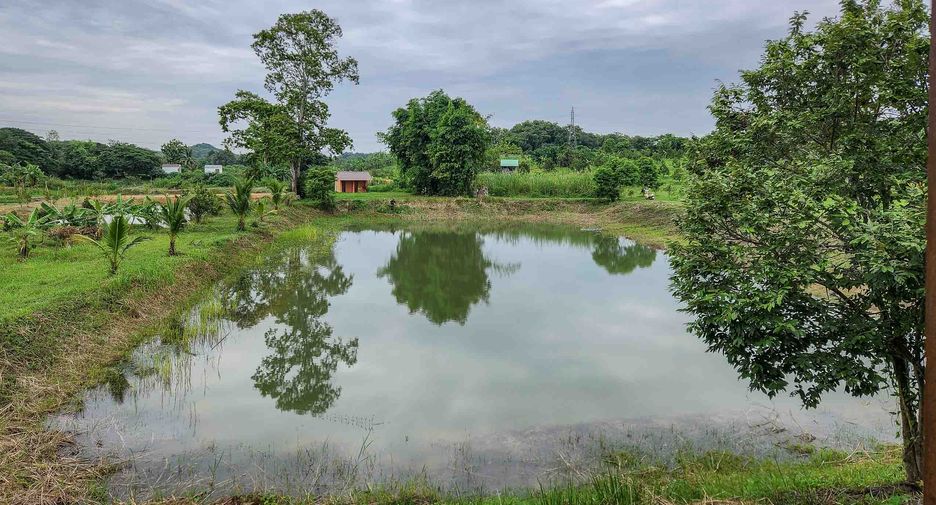 For sale 2 bedrooms land in Laplae, Uttaradit