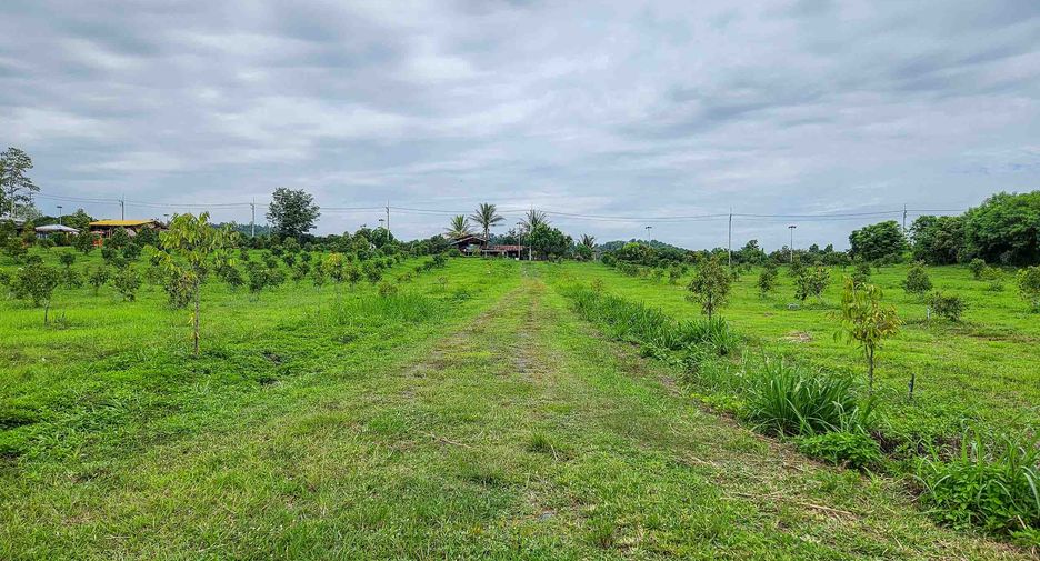 For sale 2 bedrooms land in Laplae, Uttaradit