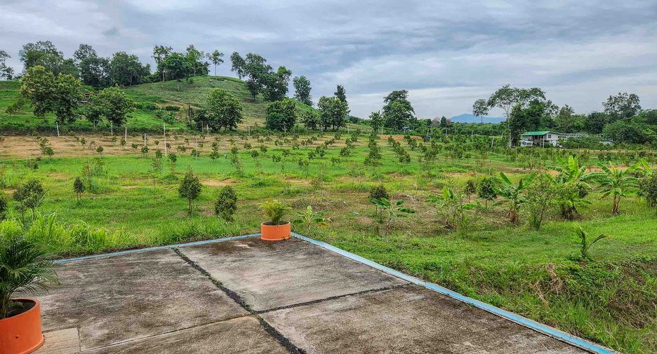 For sale 2 bedrooms land in Laplae, Uttaradit