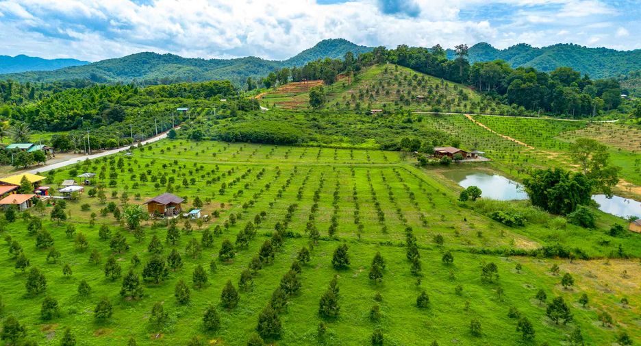 For sale 2 bedrooms land in Laplae, Uttaradit